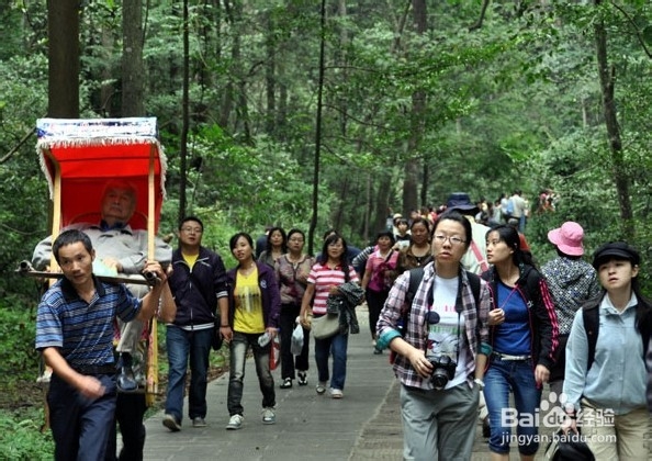 威海到张家界自驾游