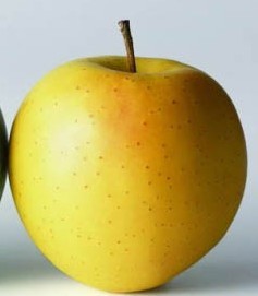 不同颜色的苹果有不同的养生功效