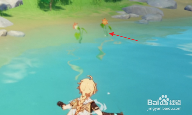 原神怎样采集嘟嘟莲