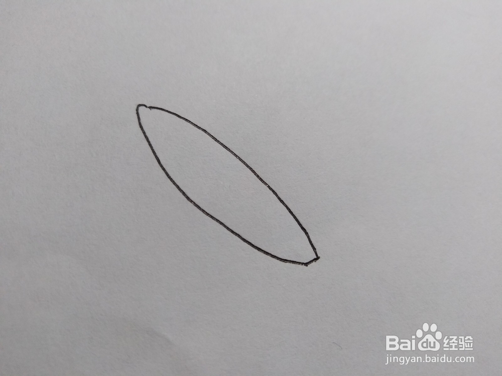 教你怎样画一个竹笋226