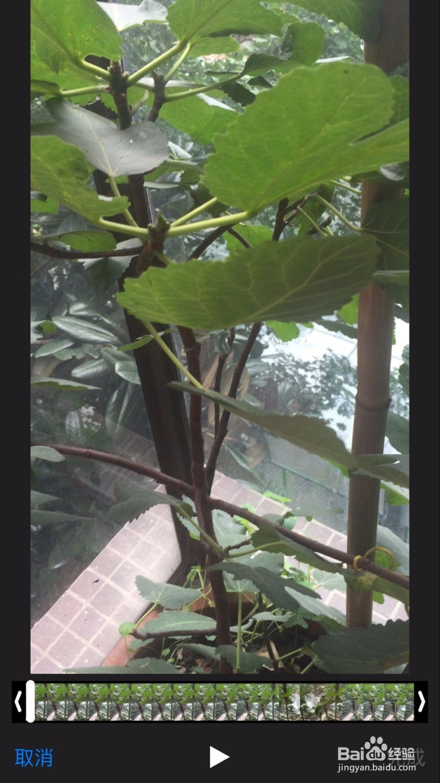 苹果手机如何用自带的相机录制和编辑视频