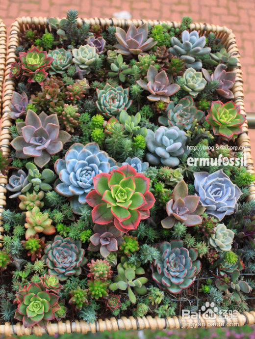 2012年6月23日 记录