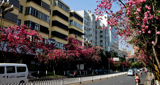 广州到昆明多少公里