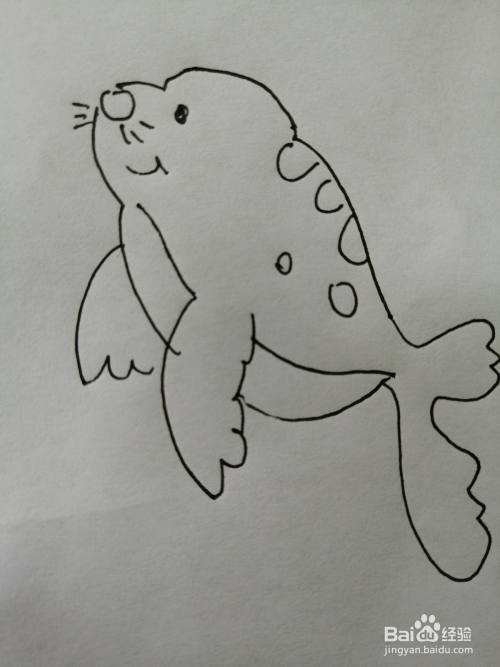 可爱的小海豹怎么画