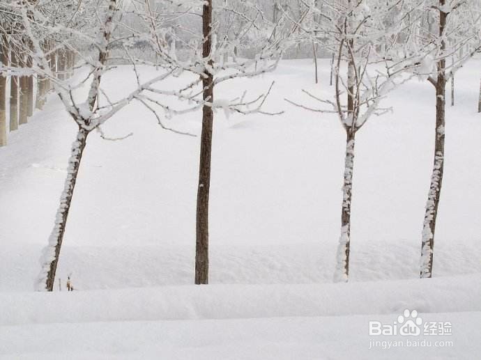 下雪天可以做哪些有意思的事情？