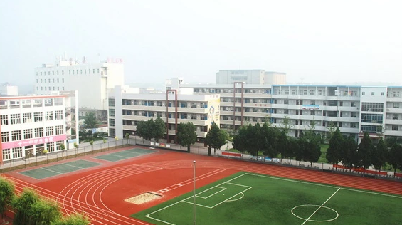 阜阳市第十一中学小升初的录取分数线是多少