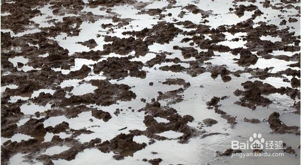 冬季衣物去污技巧