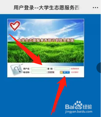西部志愿座机号码怎么填