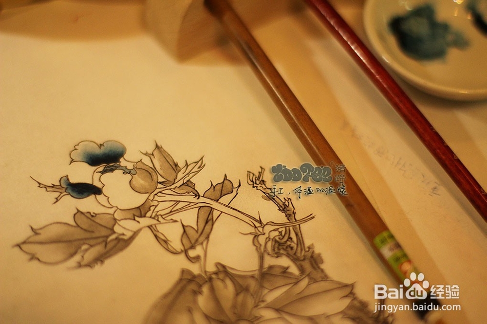 国画工笔花卉技法，起稿上色步骤图以及笔的选择