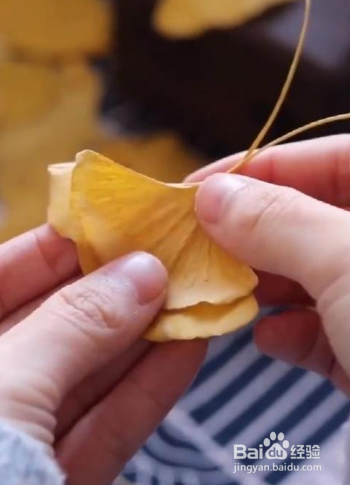 用银杏叶做蝴蝶怎么做