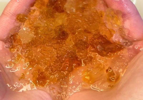 桃胶雪燕皂角米羹