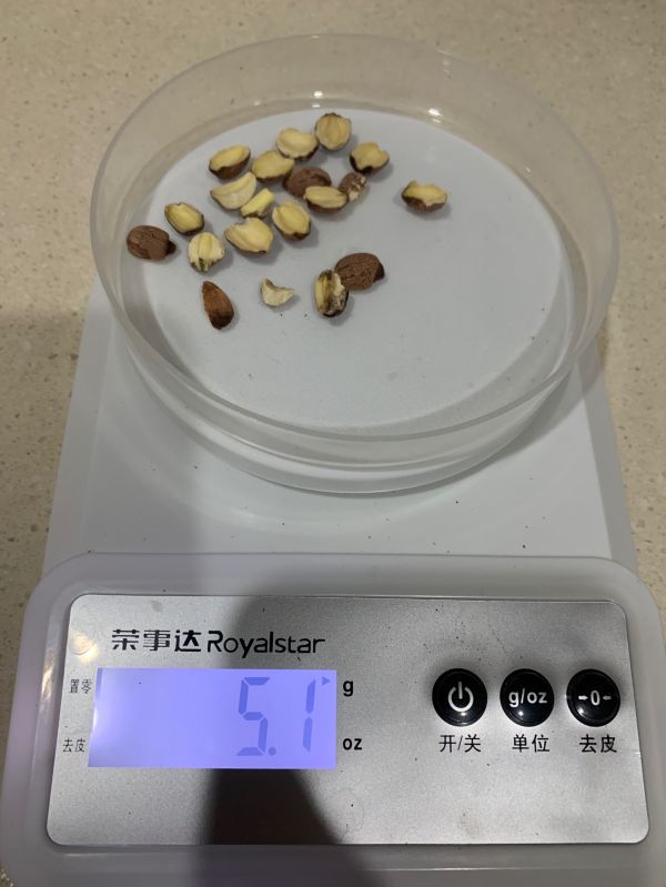 鲍鱼花菇玉竹煲排骨