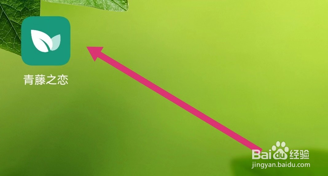 青藤之恋APP如何查看消息通知?