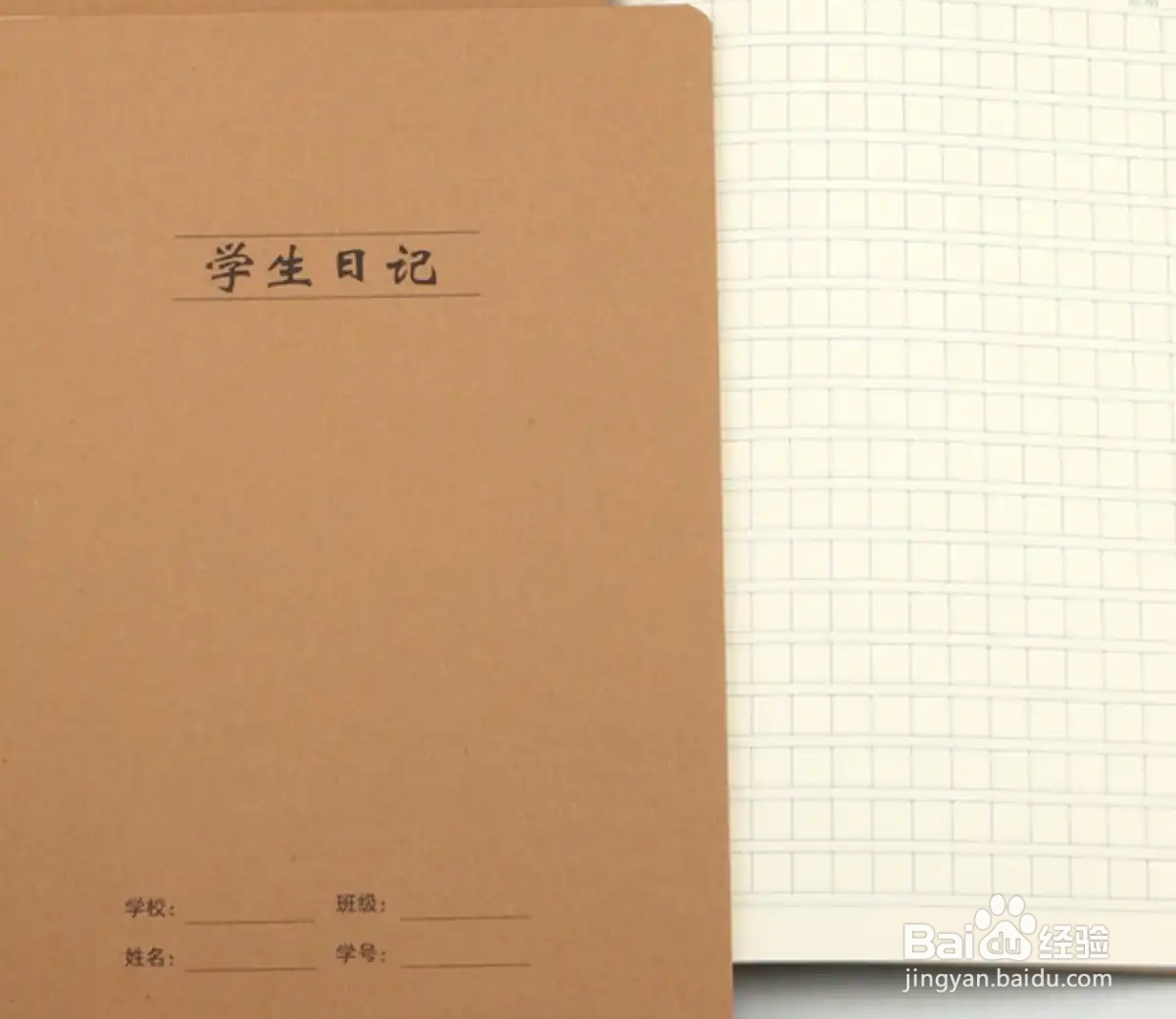 怎样指导孩子写好日记？