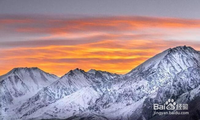 摄影创作中，如何通过构图突出主体？