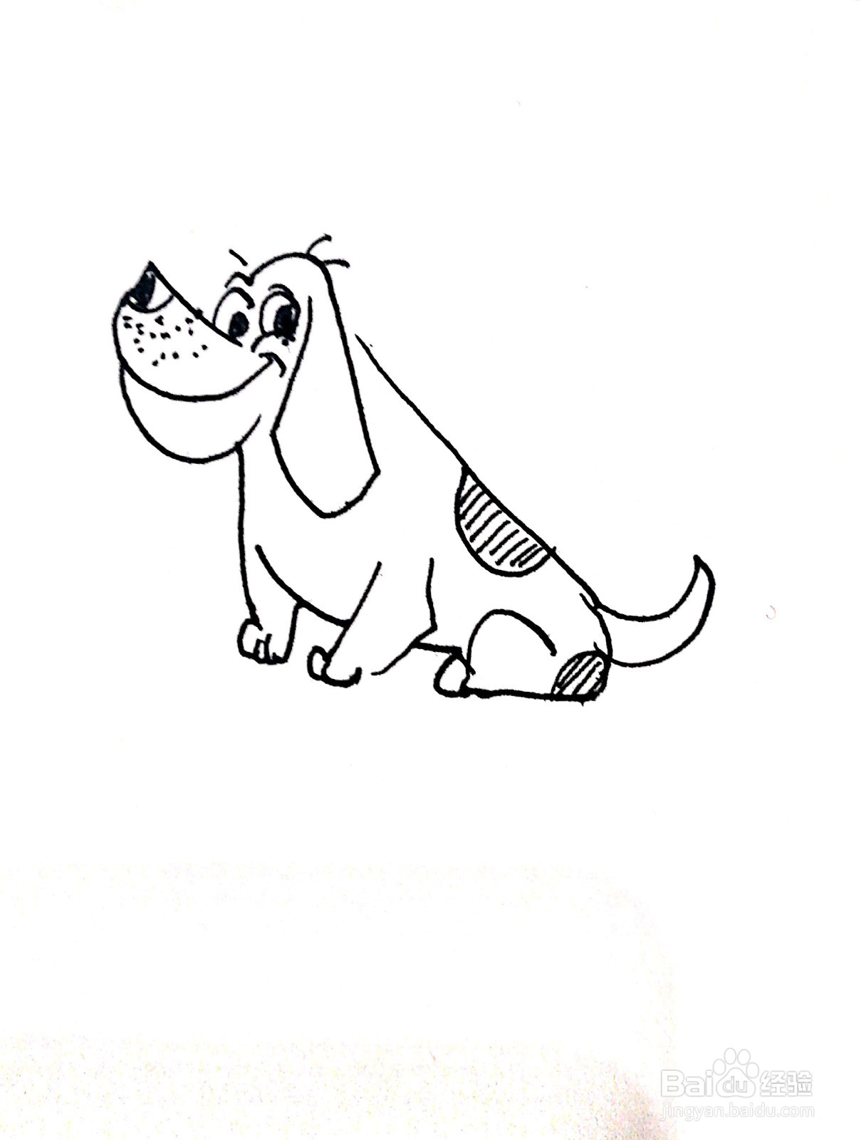 坐着的小狗线描画怎么画