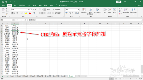 选中任意一个单元格后同时按下ctrl和2键,所选单元格字体自动加粗.