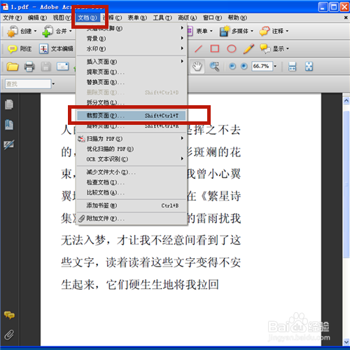PDF文件如何裁剪页面？