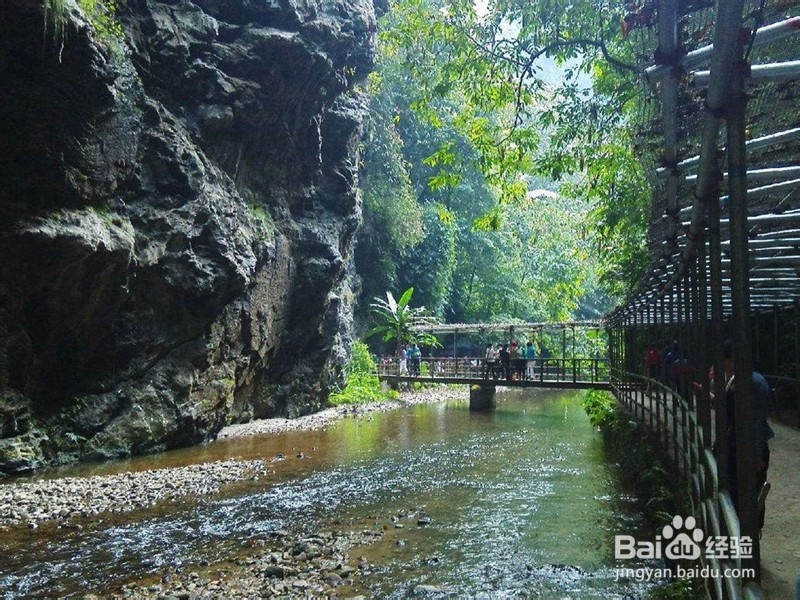 靖西通灵大峡谷达到的交通方法及游玩攻略