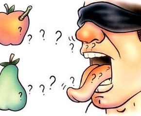 奇妙的味觉规律你知道多少?