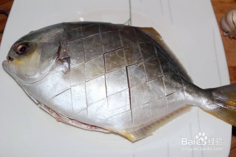 银鲳鱼的鉴别方法