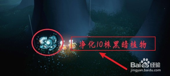 光遇1.14每日任务怎么做？