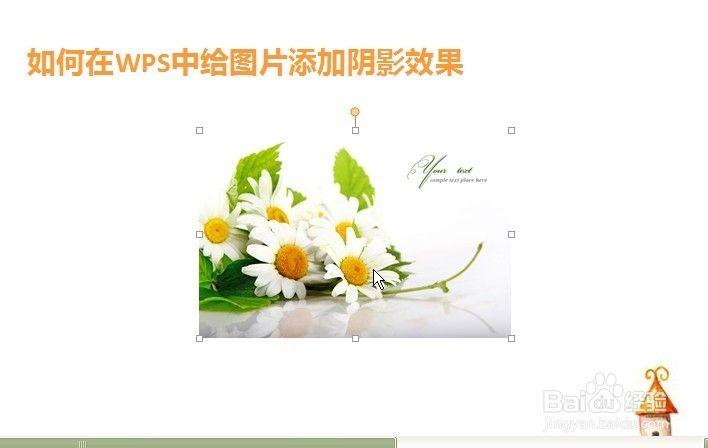 WPS中如何给图片添加阴影效果