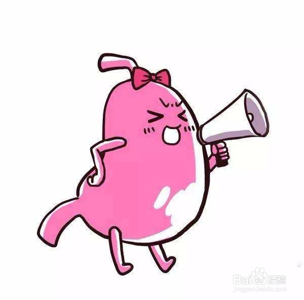 关于一些养胃的经验