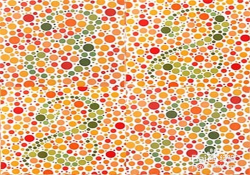 色盲和色弱的本质区别