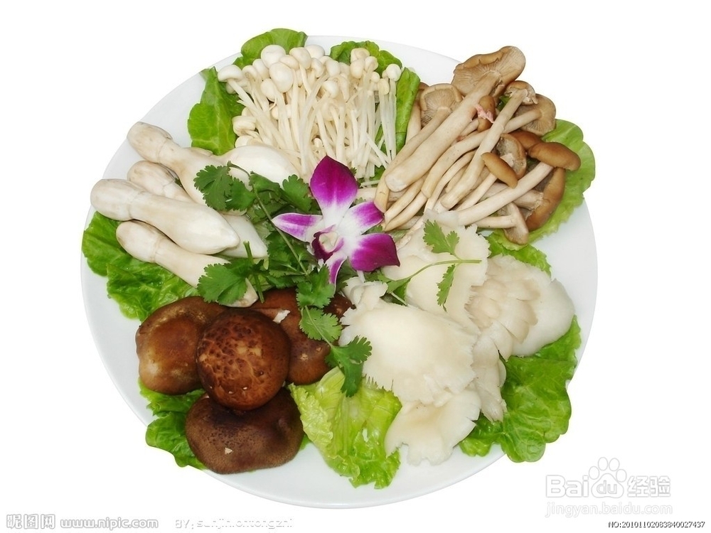 怎么提高免疫力?