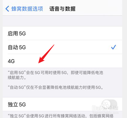 苹果网络怎么切换4g