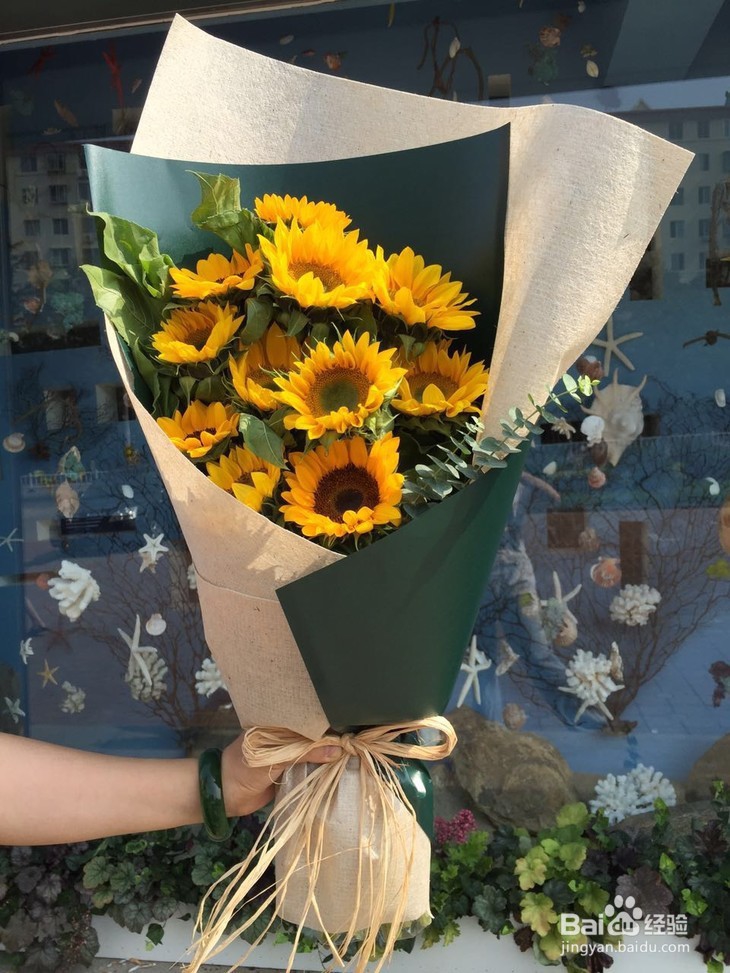 向日葵和太阳花到家后应该如何处理?