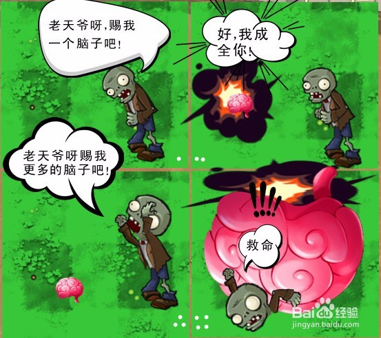 植2幽灵辣椒和南瓜小巫对比