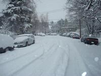 暴雪来了 如何有效进行防御