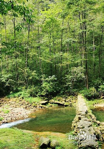 张家界到凤凰旅游攻略