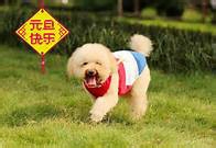 2015年新的一年开始，该做些什么呢？