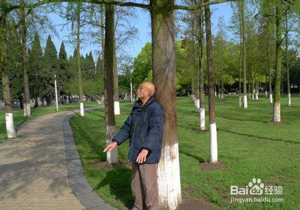 怎样补肾让身体越来越棒?