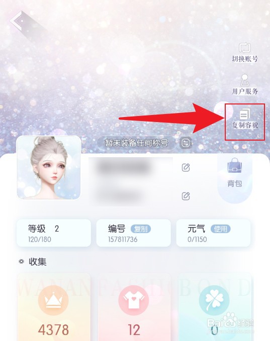 以闪亮之名怎么看自己的捏脸ID