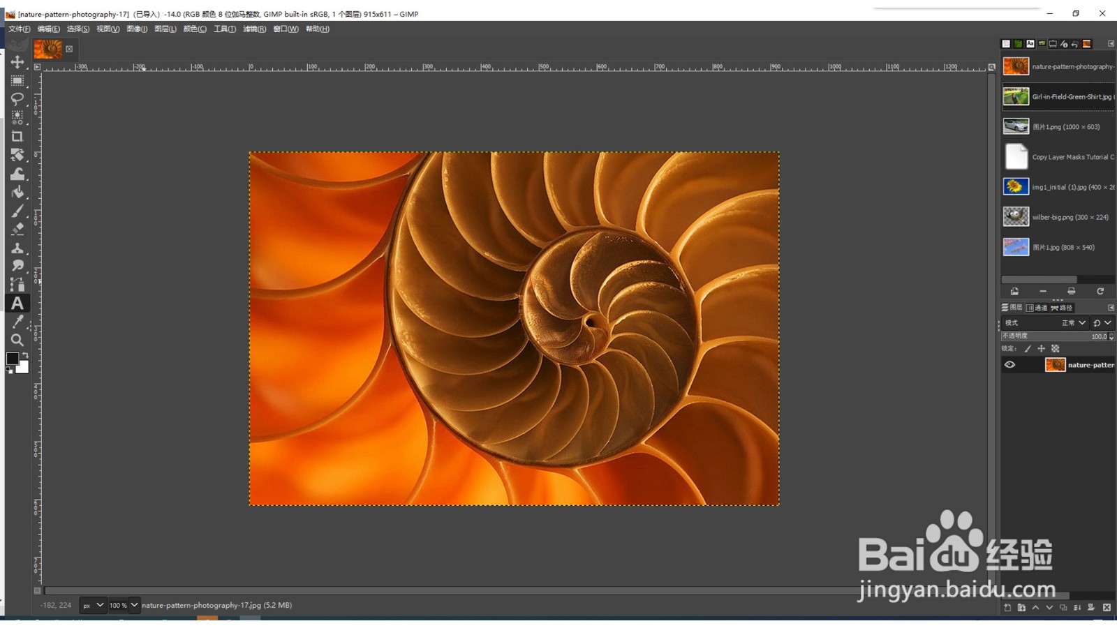 GIMP如何为图像添加页面卷曲效果