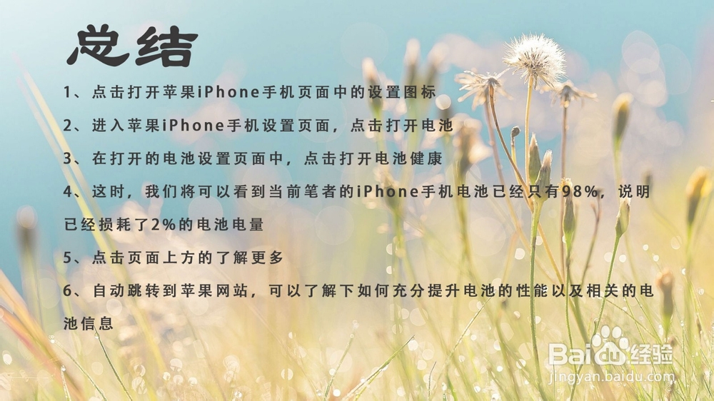 苹果iPhone手机电池寿命怎么看?