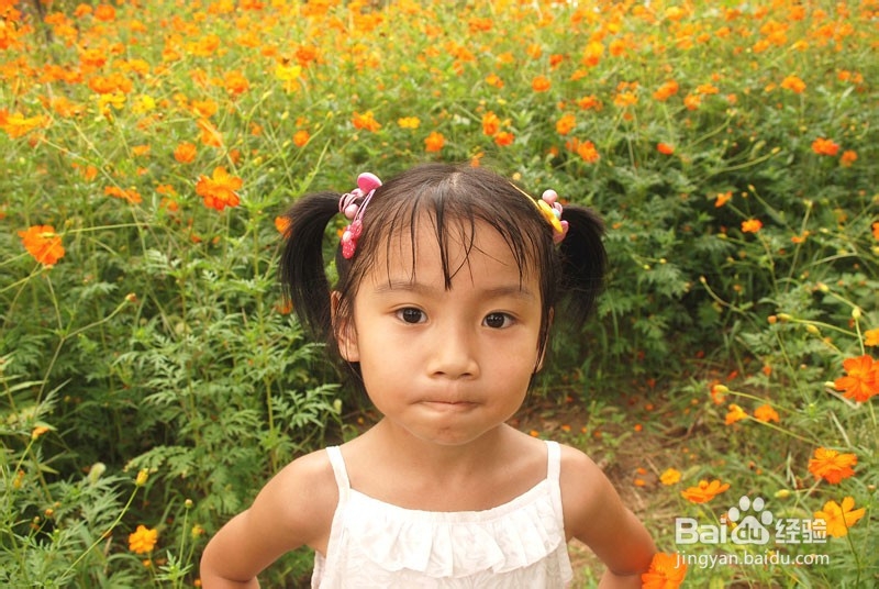 高智商宝宝都有哪些表现