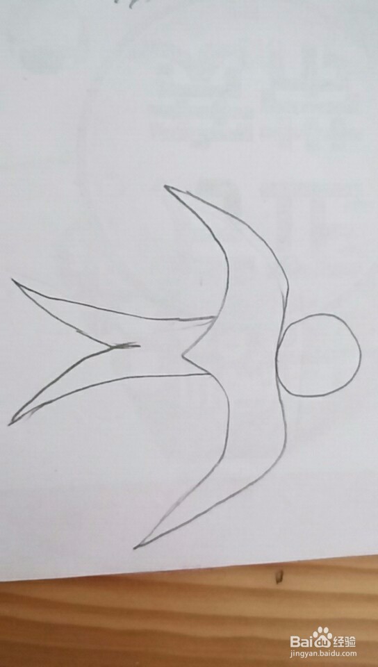 多妈简笔画一只小燕子