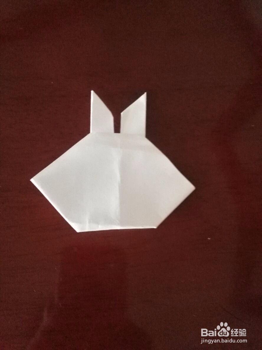 萌萌哒小兔子