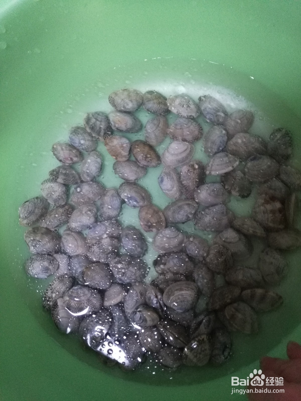 美味花甲的家常做法