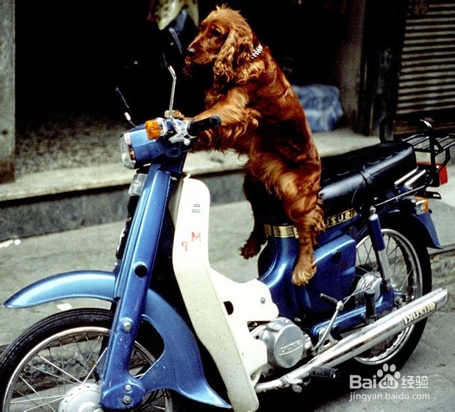 如何去提升你的生活品质：[45]改善你的现状 1