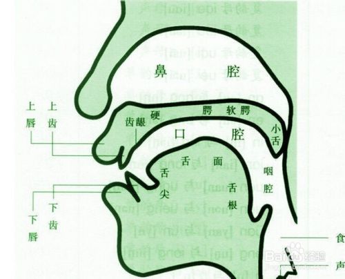 怎样成为有品味的女人：[1]美化你的声音