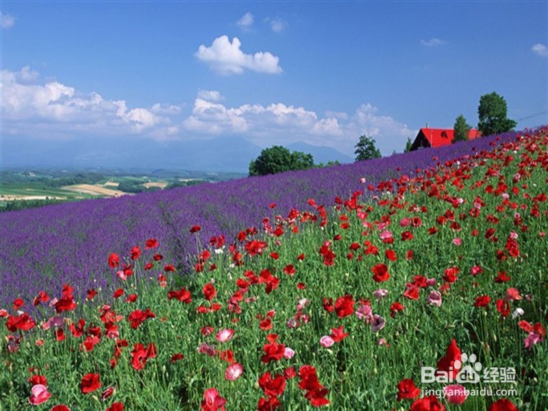 怎样在淘宝上开店?
