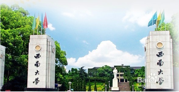 大学志愿填写策略