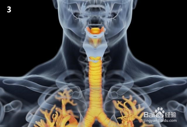 经常咳嗽不好怎么办,该怎么检查