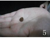 【糯米南瓜盅】甜蜜的小可爱